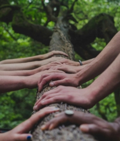 Generación de vínculo en la conformación de un equipo transversal